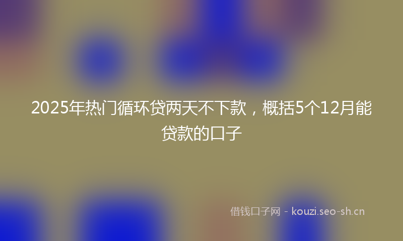 2025年热门循环贷两天不下款，概括5个12月能贷款的口子