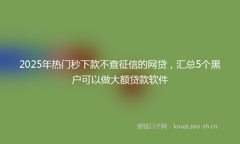 2025年热门秒下款不查征信的网贷，汇总5个黑户可以做大额贷款软件
