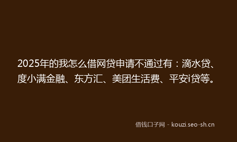 2025年的我怎么借网贷申请不通过有：滴水贷、度小满金融、东方汇、美团生活费、平安i贷等。