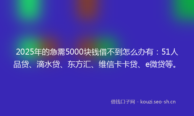 2025年的急需5000块钱借不到怎么办有：51人品贷、滴水贷、东方汇、维信卡卡贷、e微贷等。