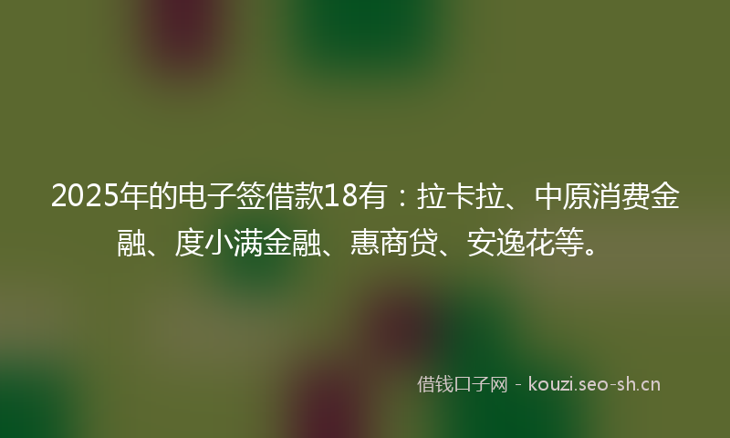 2025年的电子签借款18有：拉卡拉、中原消费金融、度小满金融、惠商贷、安逸花等。