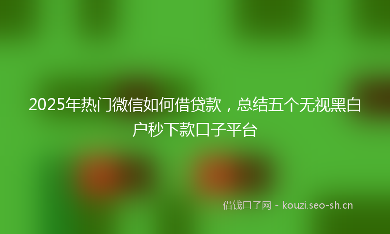 2025年热门微信如何借贷款,总结五个无视黑白户秒下款口子平台