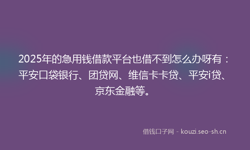2025年的急用钱借款平台也借不到怎么办呀有：平安口袋银行、团贷网、维信卡卡贷、平安i贷、京东金融等。