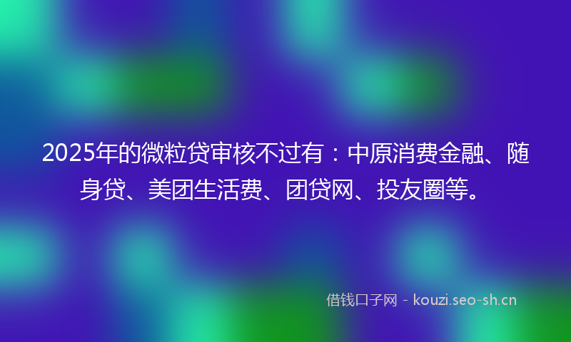 2025年的微粒贷审核不过有：中原消费金融、随身贷、美团生活费、团贷网、投友圈等。