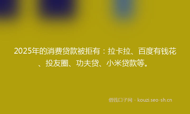 2025年的消费贷款被拒有：拉卡拉、百度有钱花、投友圈、功夫贷、小米贷款等。