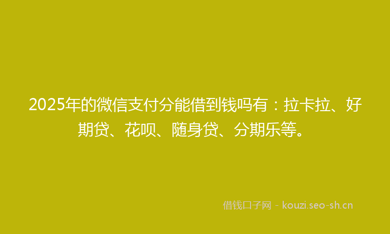 2025年的微信支付分能借到钱吗有：拉卡拉、好期贷、花呗、随身贷、分期乐等。