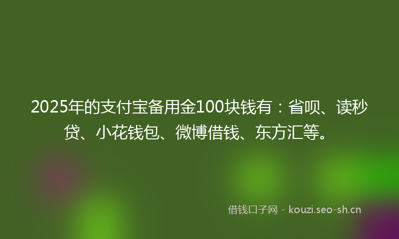 2025年的支付宝备用金100块钱有:省呗、读秒贷、小花钱包、微博借钱、东方汇等。
