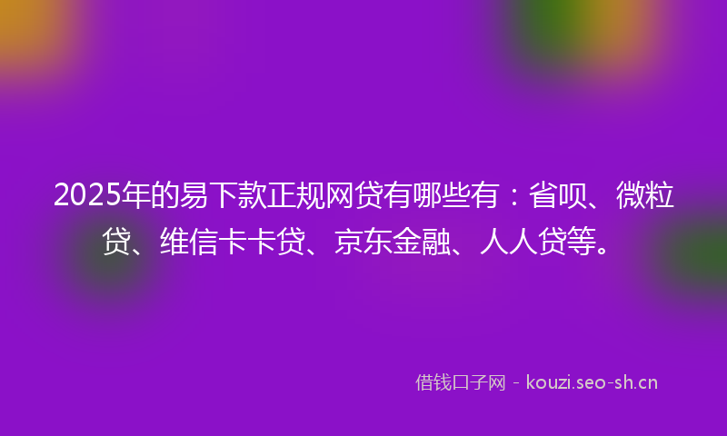 2025年的易下款正规网贷有哪些有：省呗、微粒贷、维信卡卡贷、京东金融、人人贷等。