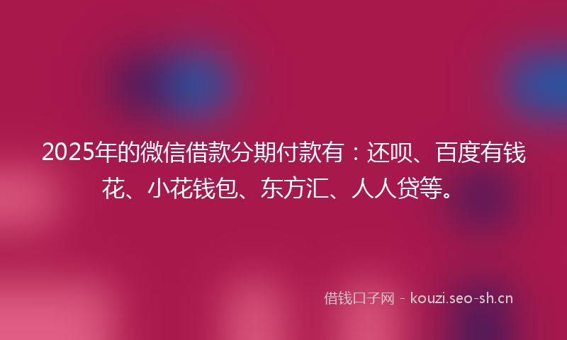 2025年的微信借款分期付款有：还呗、百度有钱花、小花钱包、东方汇、人人贷等。