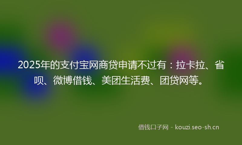 2025年的支付宝网商贷申请不过有:拉卡拉、省呗、微博借钱、美团生活费、团贷网等。