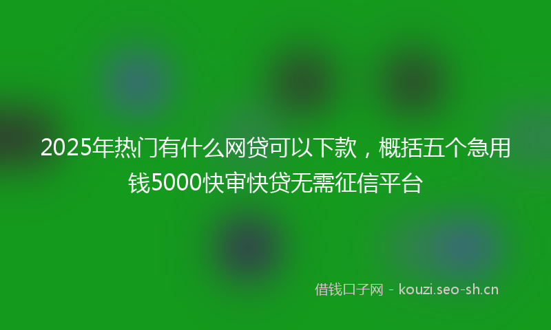2025年热门有什么网贷可以下款，概括五个急用钱5000快审快贷无需征信平台