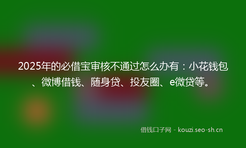 2025年的必借宝审核不通过怎么办有：小花钱包、微博借钱、随身贷、投友圈、e微贷等。