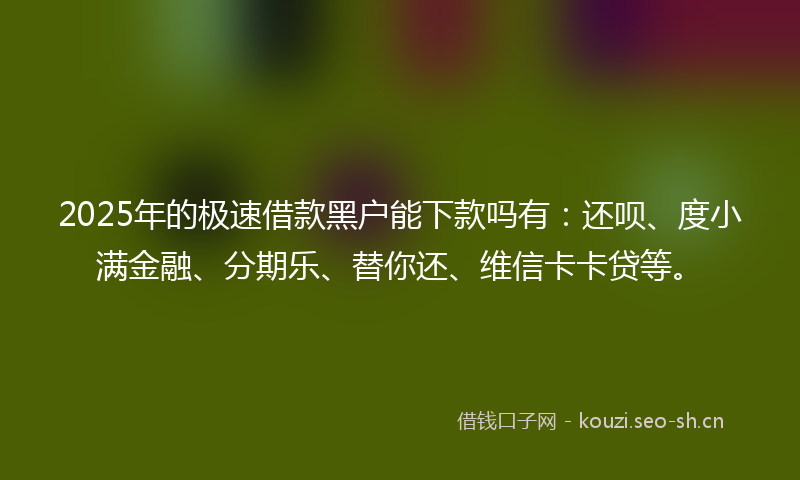 2025年的极速借款黑户能下款吗有：还呗、度小满金融、分期乐、替你还、维信卡卡贷等。