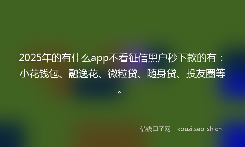 2025年的有什么app不看征信黑户秒下款的有：小花钱包、融逸花、微粒贷、随身贷、投友圈等。