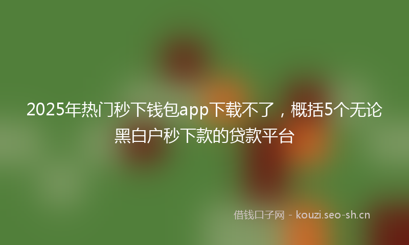 2025年热门秒下钱包app下载不了，概括5个无论黑白户秒下款的贷款平台