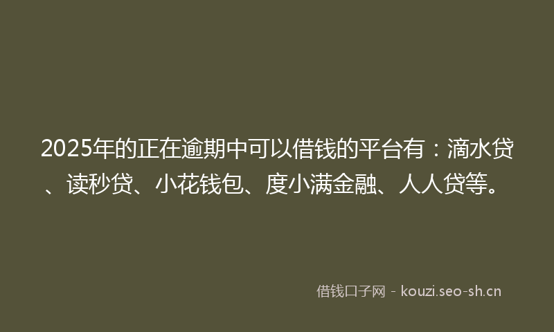 2025年的正在逾期中可以借钱的平台有:滴水贷、读秒贷、小花钱包、度小满金融、人人贷等。
