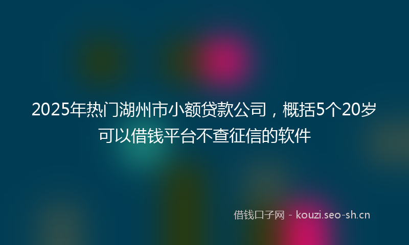 2025年热门湖州市小额贷款公司，概括5个20岁可以借钱平台不查征信的软件