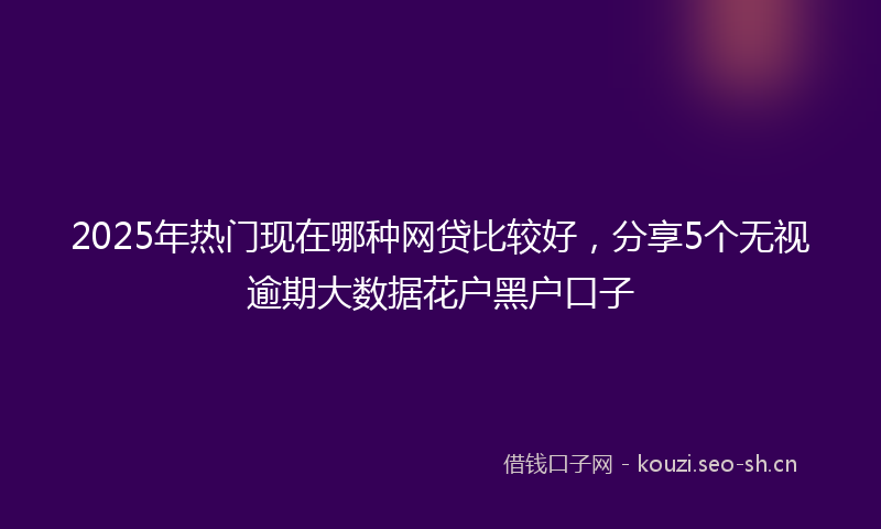 2025年热门现在哪种网贷比较好，分享5个无视逾期大数据花户黑户口子