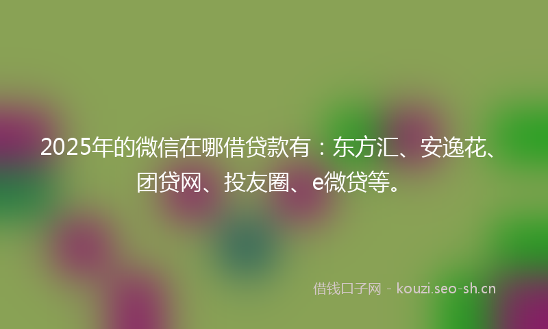 2025年的微信在哪借贷款有：东方汇、安逸花、团贷网、投友圈、e微贷等。