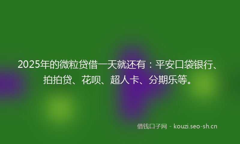 2025年的微粒贷借一天就还有：平安口袋银行、拍拍贷、花呗、超人卡、分期乐等。
