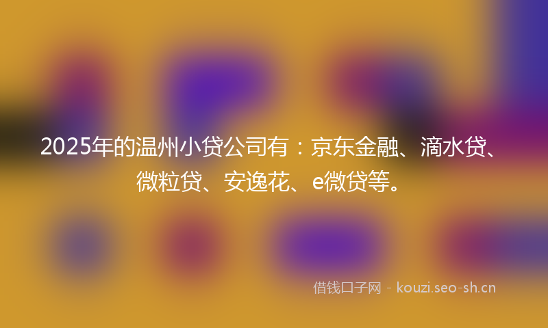 2025年的温州小贷公司有：京东金融、滴水贷、微粒贷、安逸花、e微贷等。