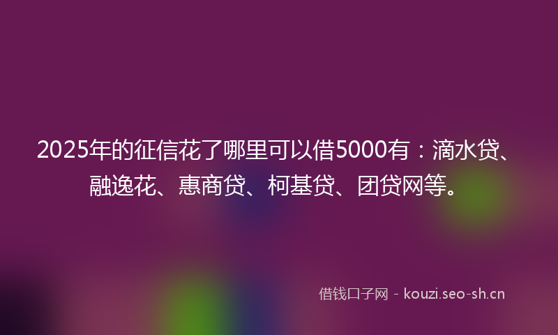 2025年的征信花了哪里可以借5000有：滴水贷、融逸花、惠商贷、柯基贷、团贷网等。