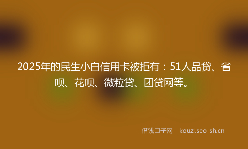 2025年的民生小白信用卡被拒有：51人品贷、省呗、花呗、微粒贷、团贷网等。