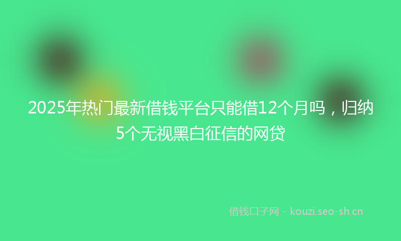 2025年热门最新借钱平台只能借12个月吗，归纳5个无视黑白征信的网贷
