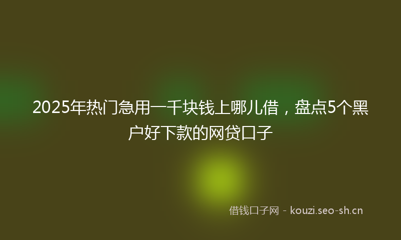2025年热门急用一千块钱上哪儿借，盘点5个黑户好下款的网贷口子