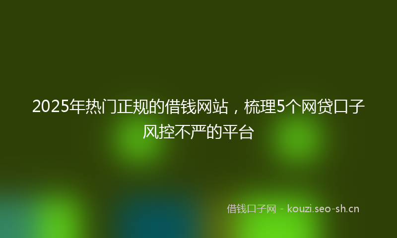2025年热门正规的借钱网站，梳理5个网贷口子风控不严的平台