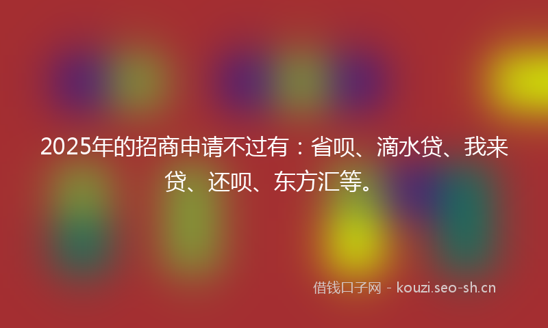 2025年的招商申请不过有：省呗、滴水贷、我来贷、还呗、东方汇等。