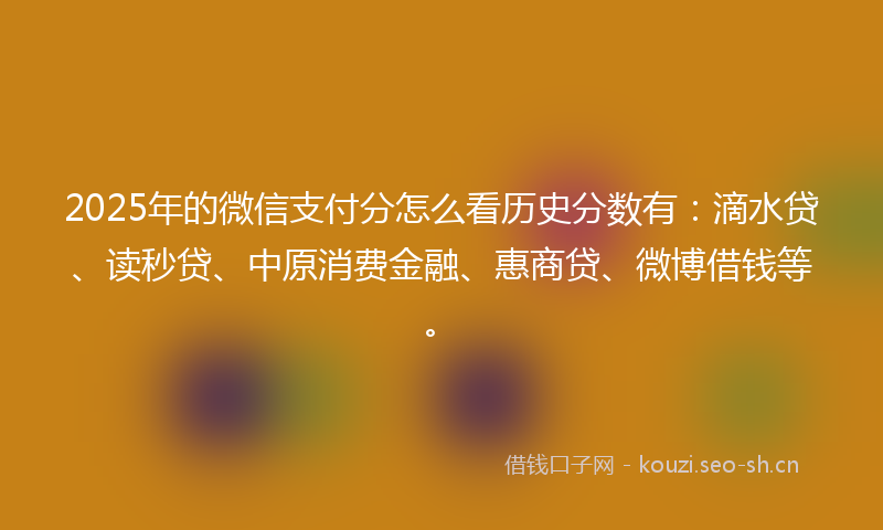 2025年的微信支付分怎么看历史分数有：滴水贷、读秒贷、中原消费金融、惠商贷、微博借钱等。