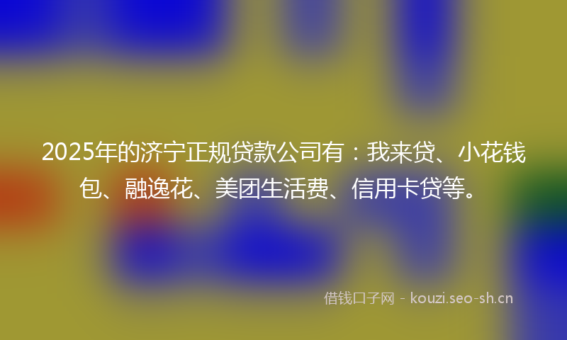 2025年的济宁正规贷款公司有：我来贷、小花钱包、融逸花、美团生活费、信用卡贷等。