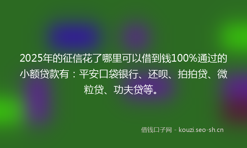 2025年的征信花了哪里可以借到钱100%通过的小额贷款有：平安口袋银行、还呗、拍拍贷、微粒贷、功夫贷等。