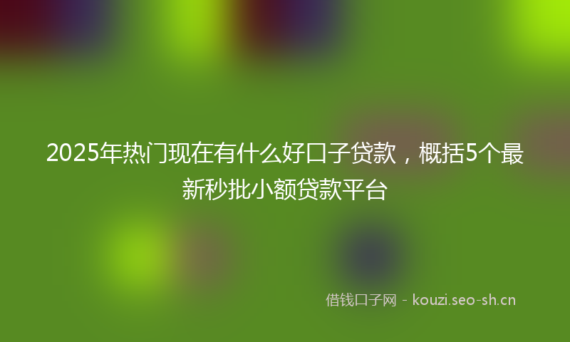 2025年热门现在有什么好口子贷款，概括5个最新秒批小额贷款平台