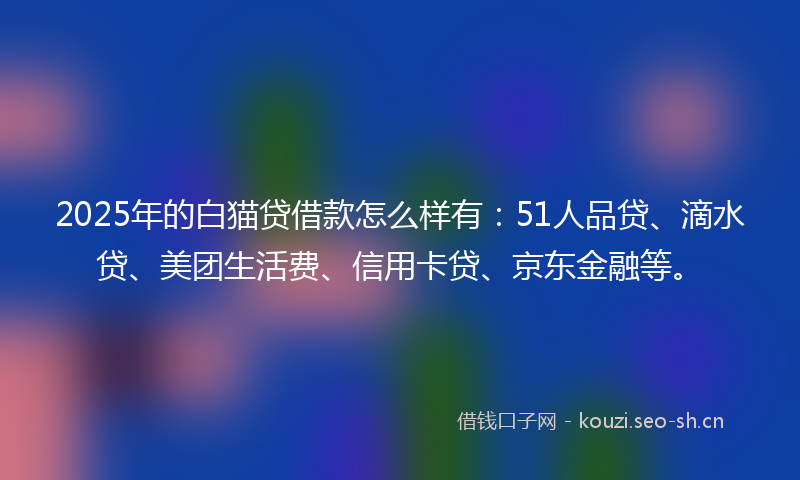 2025年的白猫贷借款怎么样有：51人品贷、滴水贷、美团生活费、信用卡贷、京东金融等。
