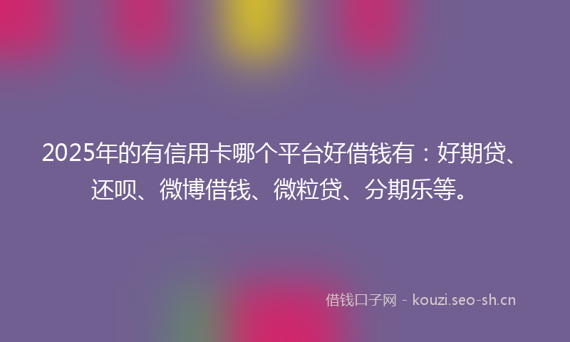 2025年的有信用卡哪个平台好借钱有：好期贷、还呗、微博借钱、微粒贷、分期乐等。