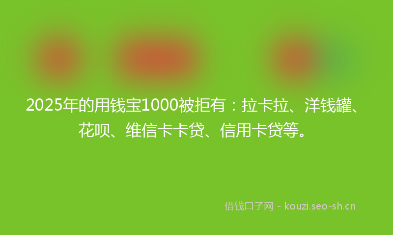 2025年的用钱宝1000被拒有：拉卡拉、洋钱罐、花呗、维信卡卡贷、信用卡贷等。