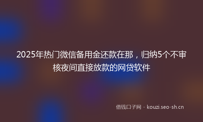 2025年热门微信备用金还款在那,归纳5个不审核夜间直接放款的网贷软件