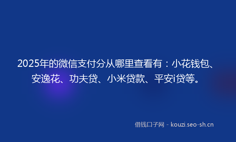 2025年的微信支付分从哪里查看有：小花钱包、安逸花、功夫贷、小米贷款、平安i贷等。