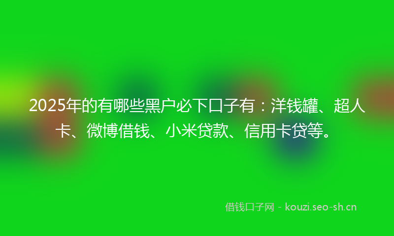 2025年的有哪些黑户必下口子有：洋钱罐、超人卡、微博借钱、小米贷款、信用卡贷等。