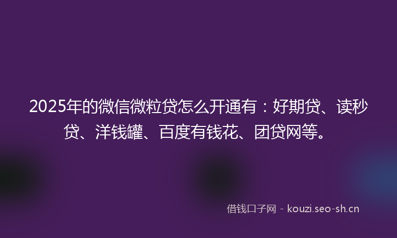 2025年的微信微粒贷怎么开通有：好期贷、读秒贷、洋钱罐、百度有钱花、团贷网等。