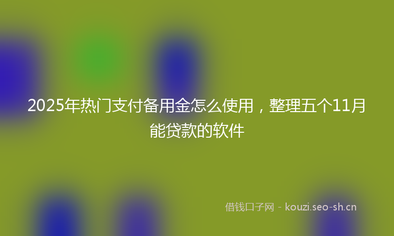 2025年热门支付备用金怎么使用，整理五个11月能贷款的软件