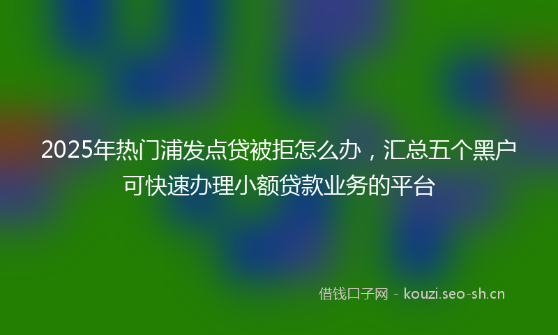 2025年热门浦发点贷被拒怎么办，汇总五个黑户可快速办理小额贷款业务的平台
