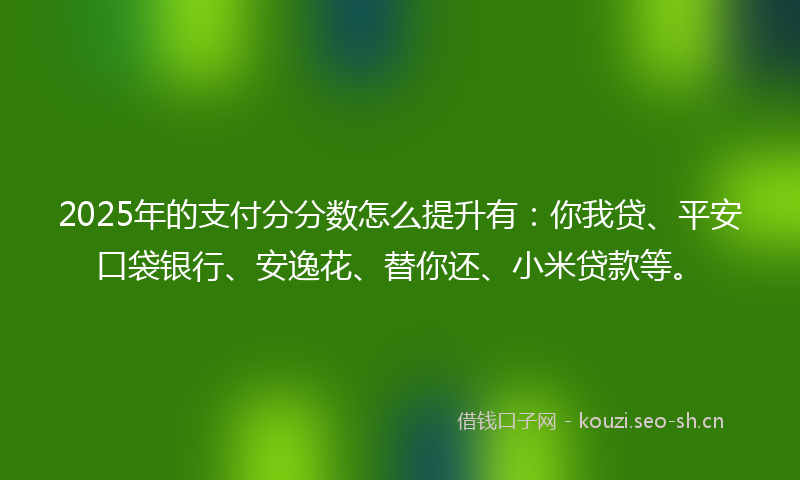 2025年的支付分分数怎么提升有：你我贷、平安口袋银行、安逸花、替你还、小米贷款等。