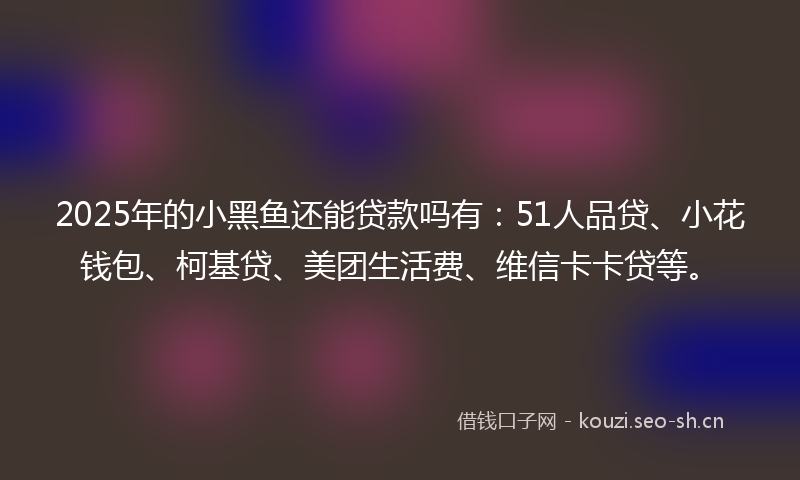 2025年的小黑鱼还能贷款吗有：51人品贷、小花钱包、柯基贷、美团生活费、维信卡卡贷等。