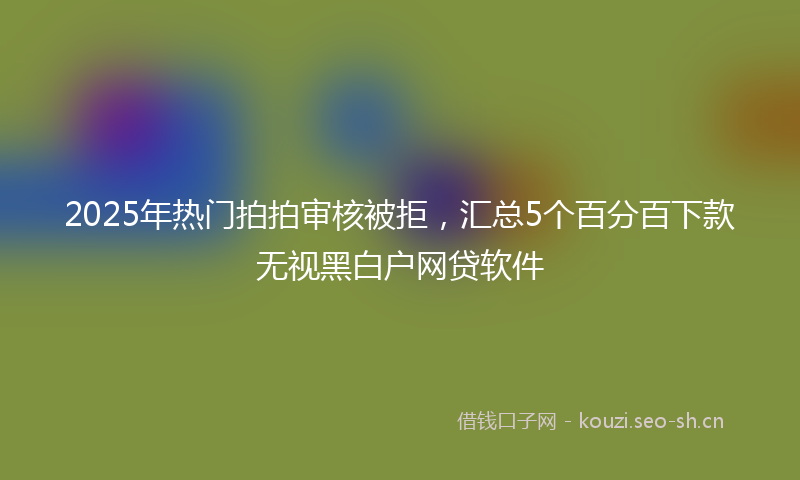 2025年热门拍拍审核被拒，汇总5个百分百下款无视黑白户网贷软件