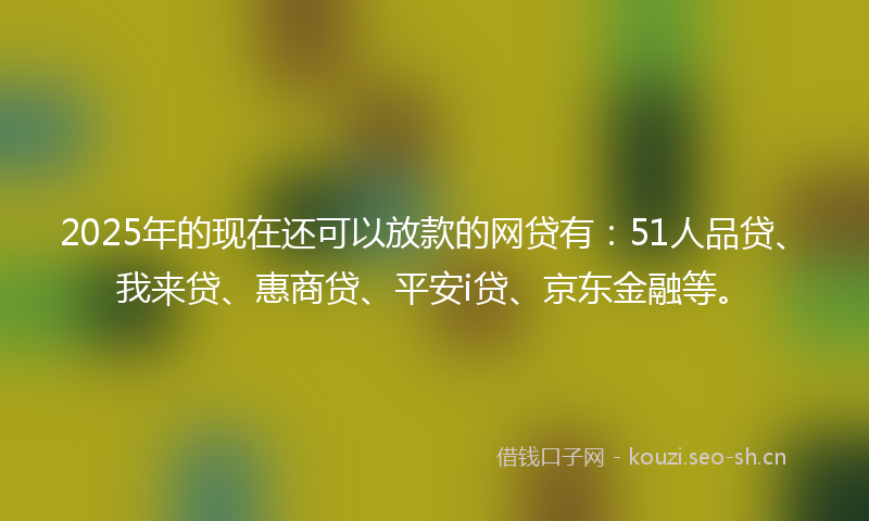 2025年的现在还可以放款的网贷有：51人品贷、我来贷、惠商贷、平安i贷、京东金融等。