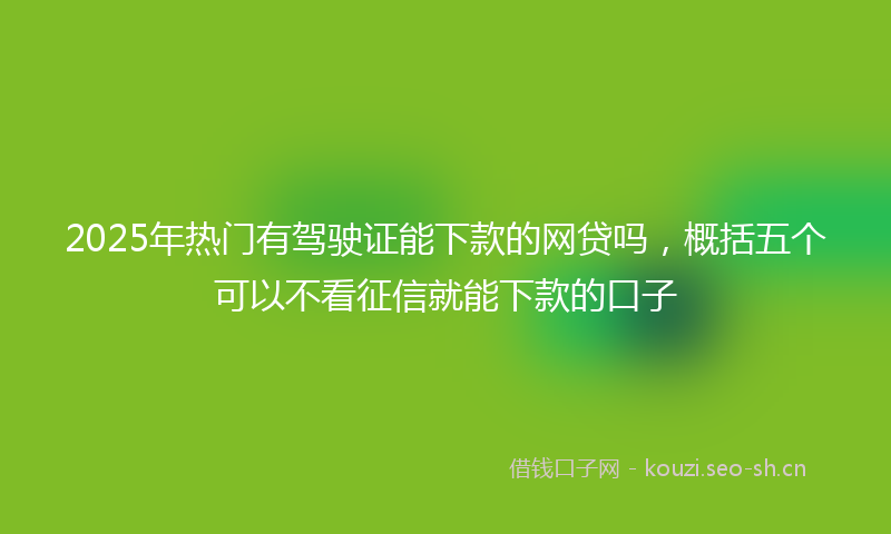 2025年热门有驾驶证能下款的网贷吗，概括五个可以不看征信就能下款的口子