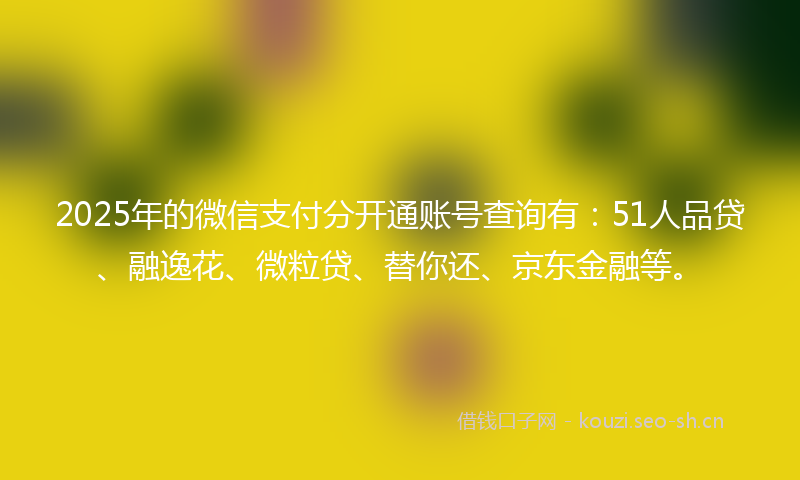 2025年的微信支付分开通账号查询有：51人品贷、融逸花、微粒贷、替你还、京东金融等。